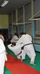 phoca_thumb_l_DSC_4100