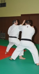phoca_thumb_l_DSC_4103